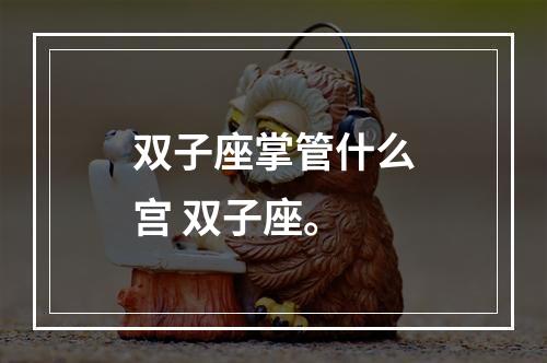 双子座掌管什么宫 双子座。
