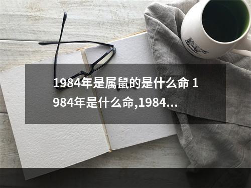 1984年是属鼠的是什么命 1984年是什么命,1984年出生是什么命