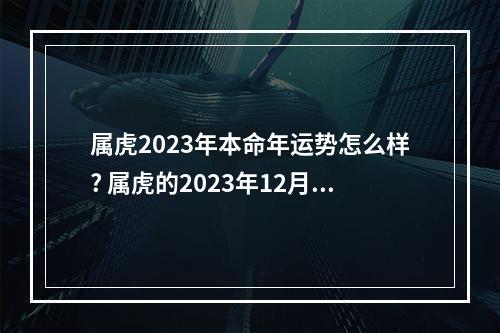 属虎2023年本命年运势怎么样? 属虎的2023年12月份财运怎么样