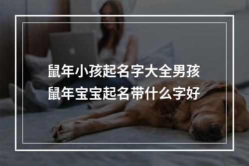 鼠年小孩起名字大全男孩 鼠年宝宝起名带什么字好