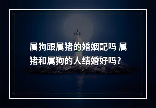 属狗跟属猪的婚姻配吗 属猪和属狗的人结婚好吗?