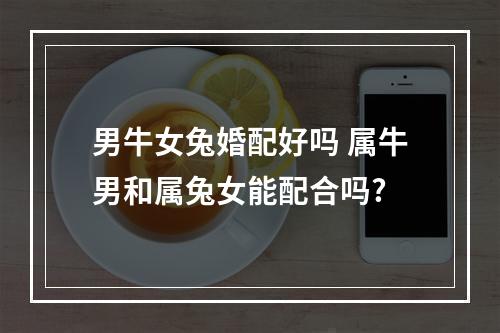 男牛女兔婚配好吗 属牛男和属兔女能配合吗?