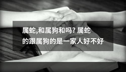 属蛇,和属狗和吗? 属蛇的跟属狗的是一家人好不好