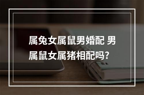 属兔女属鼠男婚配 男属鼠女属猪相配吗?