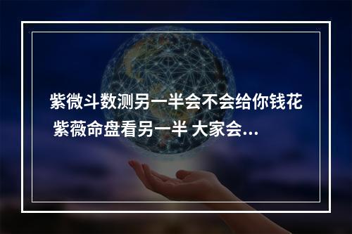 紫微斗数测另一半会不会给你钱花 紫薇命盘看另一半 大家会的帮忙看看吧!!感谢