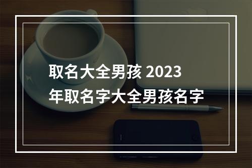 取名大全男孩 2023年取名字大全男孩名字