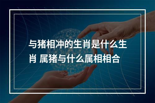 与猪相冲的生肖是什么生肖 属猪与什么属相相合