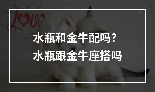 水瓶和金牛配吗? 水瓶跟金牛座搭吗