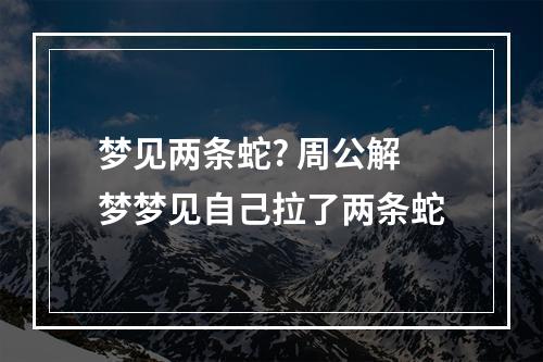 梦见两条蛇? 周公解梦梦见自己拉了两条蛇