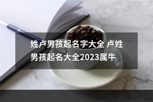 姓卢男孩起名字大全 卢姓男孩起名大全2023属牛