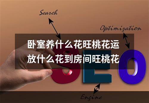 卧室养什么花旺桃花运 放什么花到房间旺桃花