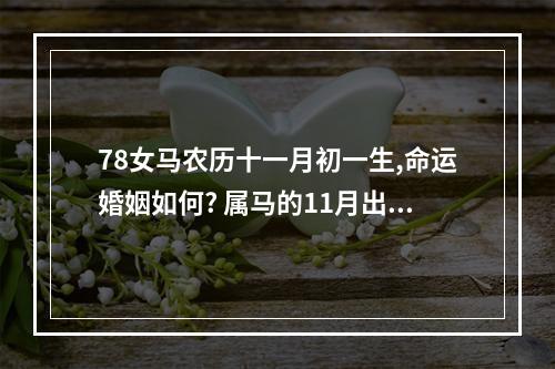 78女马农历十一月初一生,命运婚姻如何? 属马的11月出生的命运