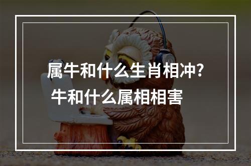 属牛和什么生肖相冲? 牛和什么属相相害