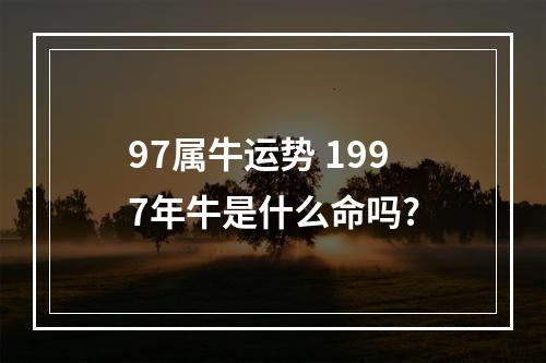 97属牛运势 1997年牛是什么命吗?
