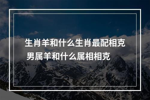生肖羊和什么生肖最配相克 男属羊和什么属相相克