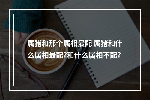 属猪和那个属相最配 属猪和什么属相最配?和什么属相不配?