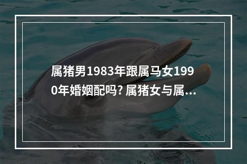 属猪男1983年跟属马女1990年婚姻配吗? 属猪女与属马相配吗