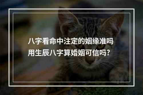 八字看命中注定的姻缘准吗 用生辰八字算婚姻可信吗?