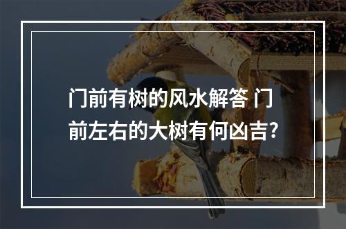 门前有树的风水解答 门前左右的大树有何凶吉?