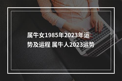 属牛女1985年2023年运势及运程 属牛人2023运势