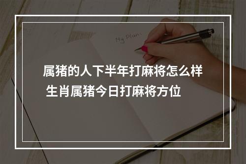 属猪的人下半年打麻将怎么样 生肖属猪今日打麻将方位