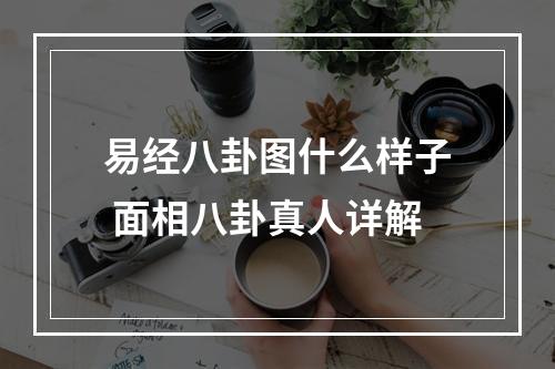 易经八卦图什么样子 面相八卦真人详解