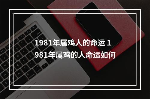 1981年属鸡人的命运 1981年属鸡的人命运如何