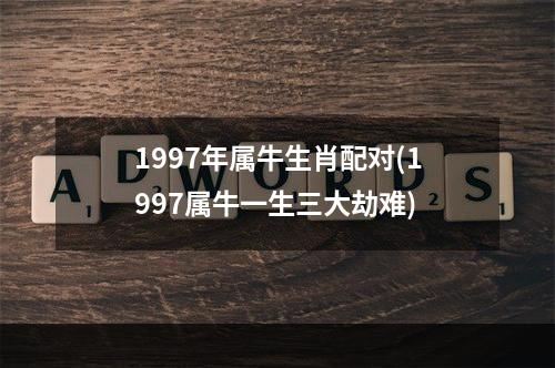 1997年属牛生肖配对(1997属牛一生三大劫难)