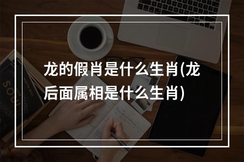 龙的假肖是什么生肖(龙后面属相是什么生肖)