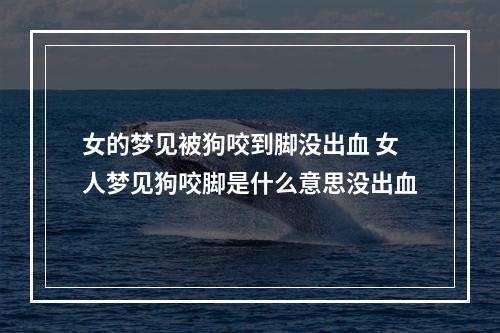 女的梦见被狗咬到脚没出血 女人梦见狗咬脚是什么意思没出血