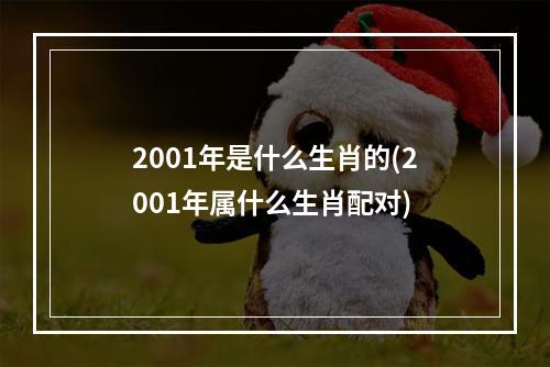 2001年是什么生肖的(2001年属什么生肖配对)