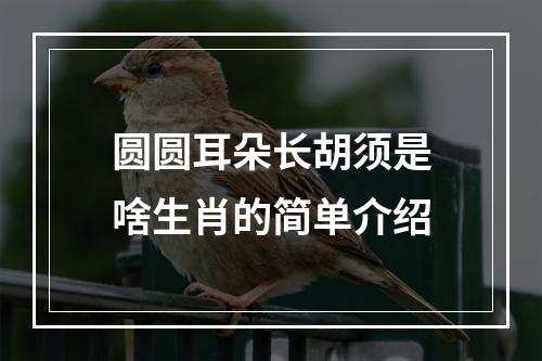 圆圆耳朵长胡须是啥生肖的简单介绍