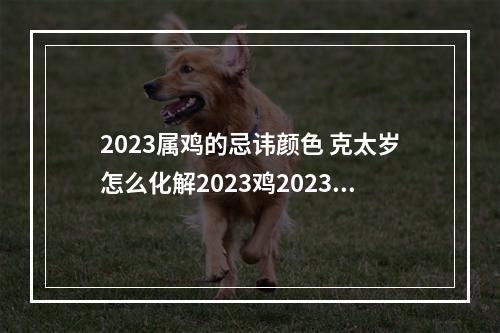 2023属鸡的忌讳颜色 克太岁怎么化解2023鸡2023年属鸡大忌是什么