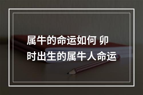 属牛的命运如何 卯时出生的属牛人命运