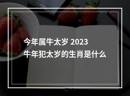 今年属牛太岁 2023牛年犯太岁的生肖是什么