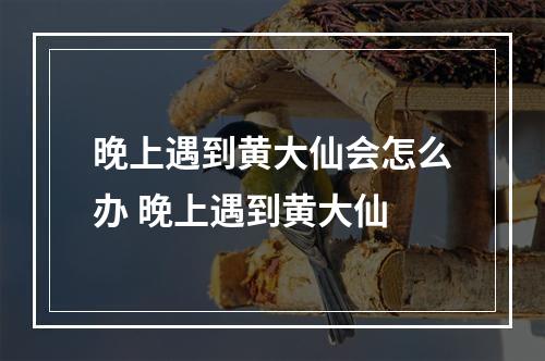 晚上遇到黄大仙会怎么办 晚上遇到黄大仙