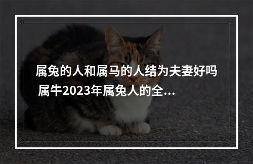 属兔的人和属马的人结为夫妻好吗 属牛2023年属兔人的全年运势
