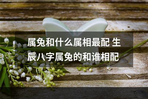 属兔和什么属相最配 生辰八字属兔的和谁相配