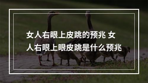 女人右眼上皮跳的预兆 女人右眼上眼皮跳是什么预兆