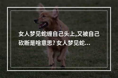 女人梦见蛇缠自己头上,又被自己砍断是啥意思? 女人梦见蛇缠头代表什么预兆