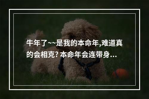 牛年了~~是我的本命年,难道真的会相克? 本命年会连带身边人也不好么