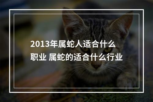 2013年属蛇人适合什么职业 属蛇的适合什么行业