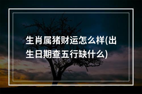 生肖属猪财运怎么样(出生日期查五行缺什么)