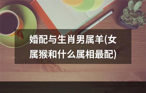 婚配与生肖男属羊(女属猴和什么属相最配)