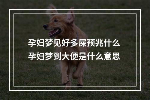 孕妇梦见好多屎预兆什么 孕妇梦到大便是什么意思