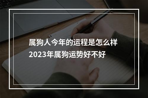 属狗人今年的运程是怎么样 2023年属狗运势好不好
