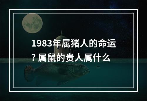 1983年属猪人的命运? 属鼠的贵人属什么