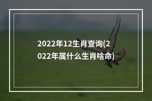 2022年12生肖查询(2022年属什么生肖啥命)