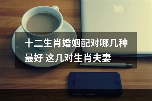 十二生肖婚姻配对哪几种最好 这几对生肖夫妻
