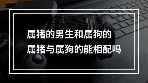 属猪的男生和属狗的 属猪与属狗的能相配吗